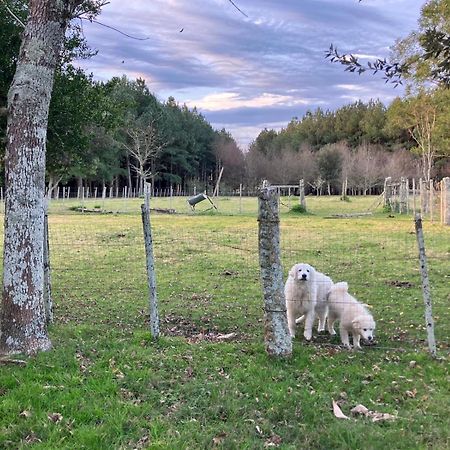 Pinos De La Quebrada Villa Quebrada de los Cuervos Luaran gambar