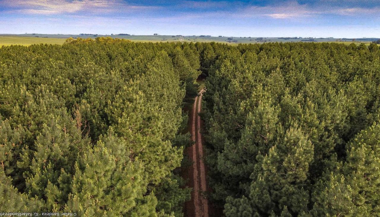 Pinos De La Quebrada Villa Quebrada de los Cuervos Luaran gambar