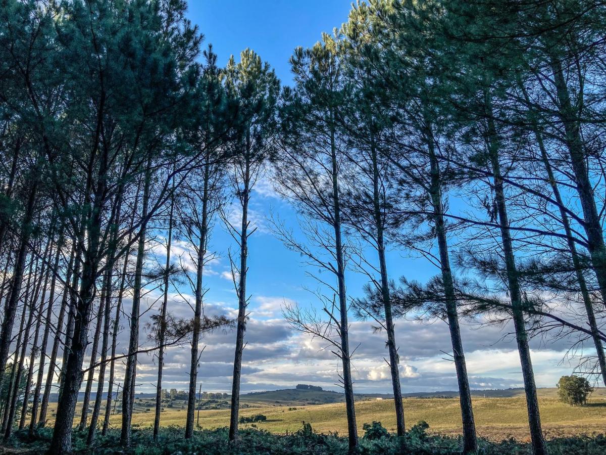 Pinos De La Quebrada Villa Quebrada de los Cuervos Luaran gambar