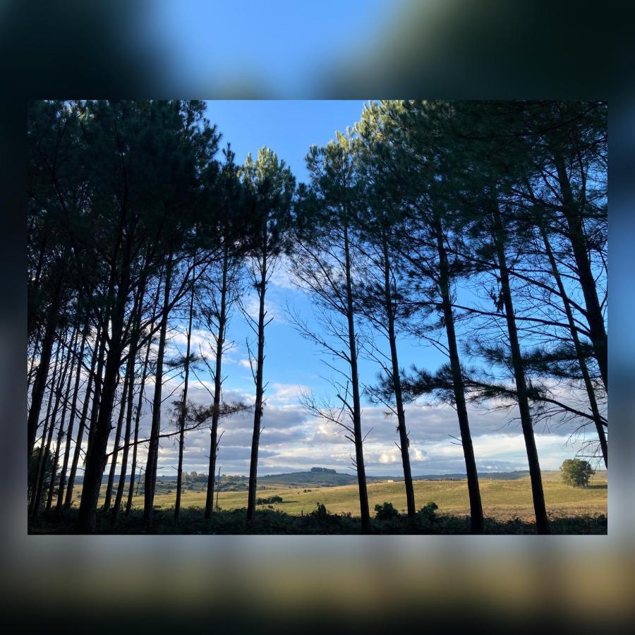 Pinos De La Quebrada Villa Quebrada de los Cuervos Luaran gambar