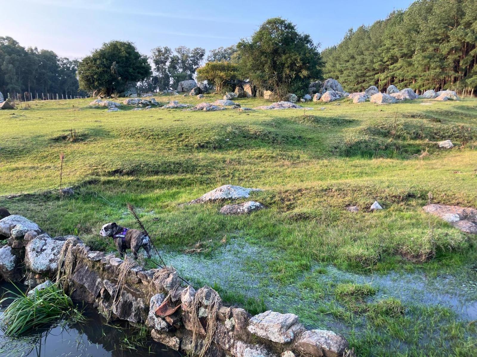 Pinos De La Quebrada Villa Quebrada de los Cuervos Luaran gambar