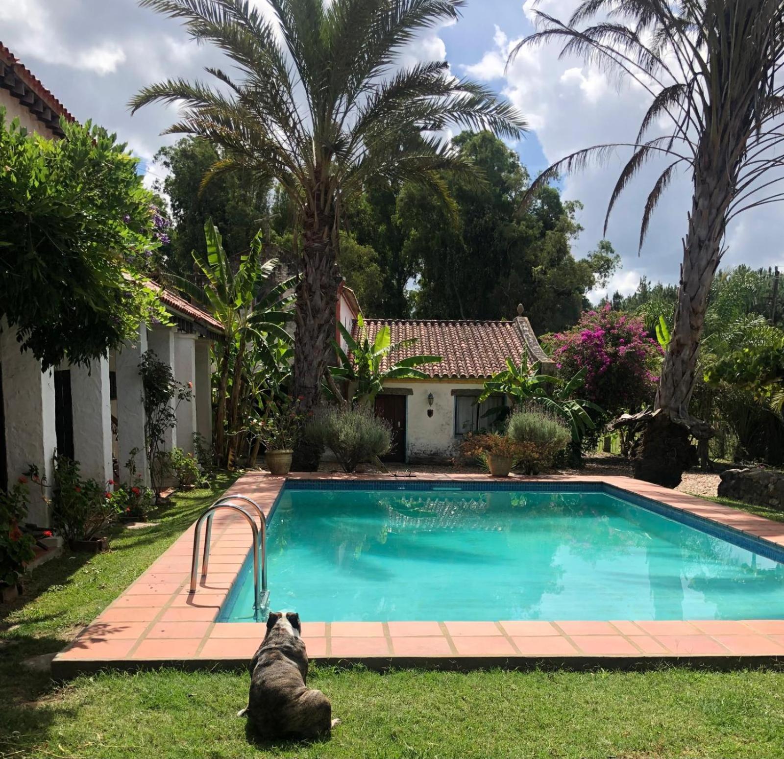 Pinos De La Quebrada Villa Quebrada de los Cuervos Luaran gambar