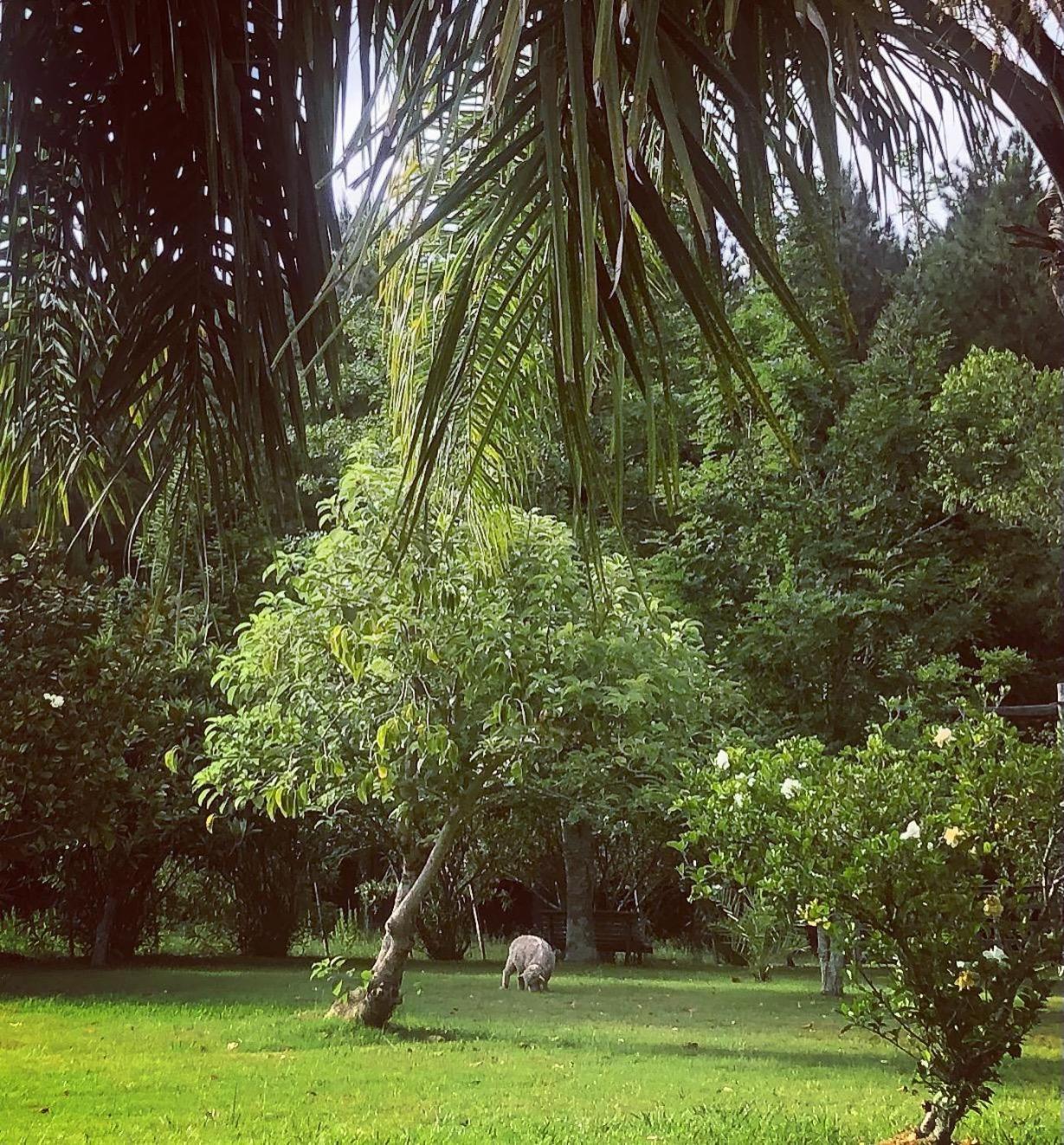Pinos De La Quebrada Villa Quebrada de los Cuervos Luaran gambar