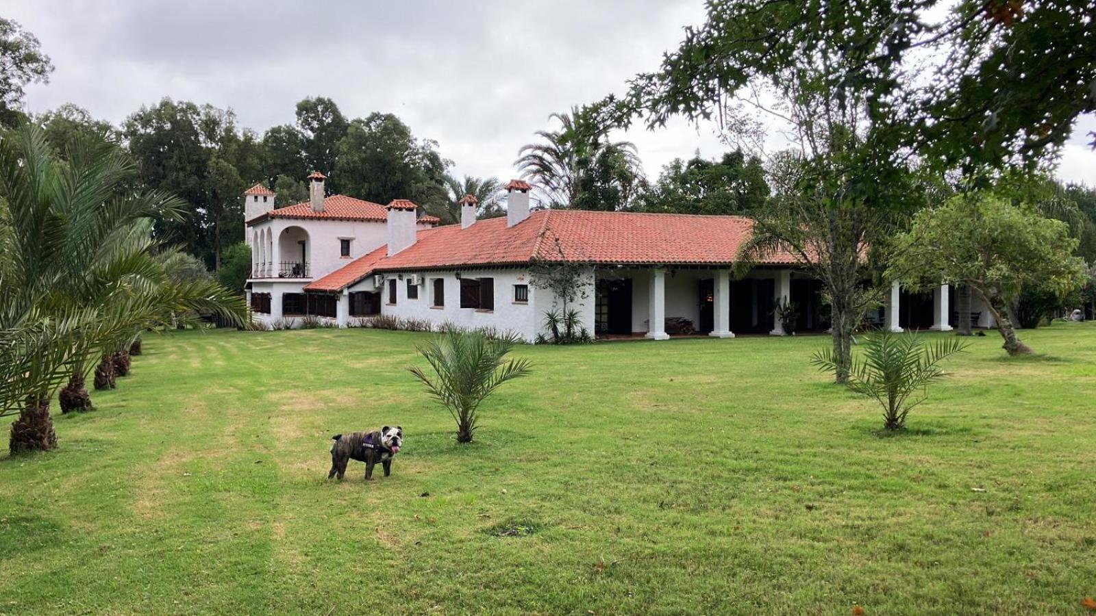 Pinos De La Quebrada Villa Quebrada de los Cuervos Luaran gambar