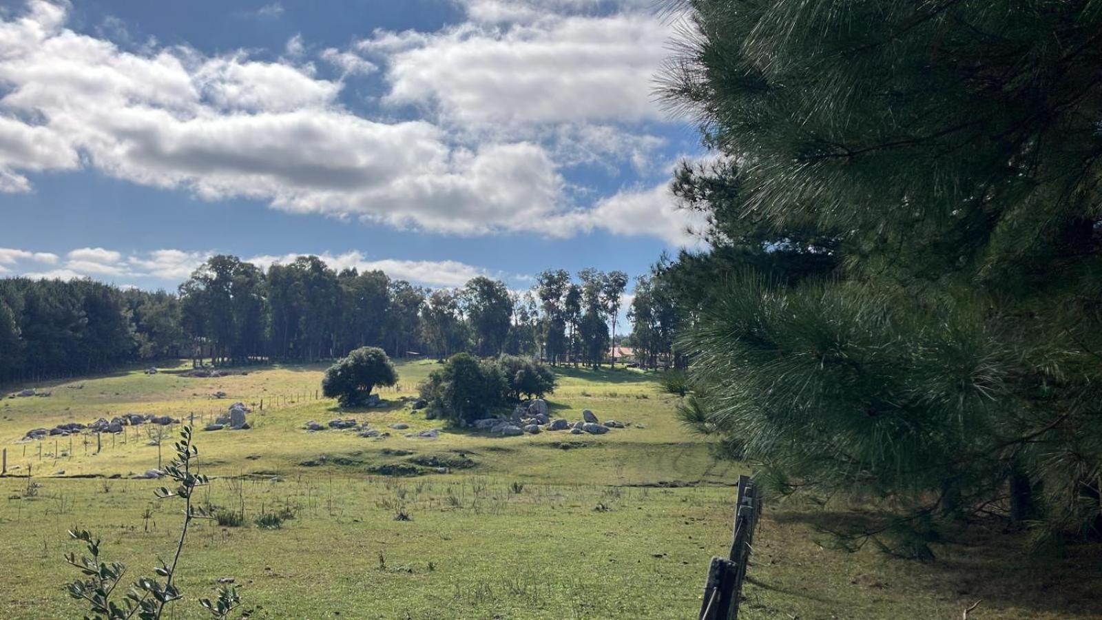 Pinos De La Quebrada Villa Quebrada de los Cuervos Luaran gambar