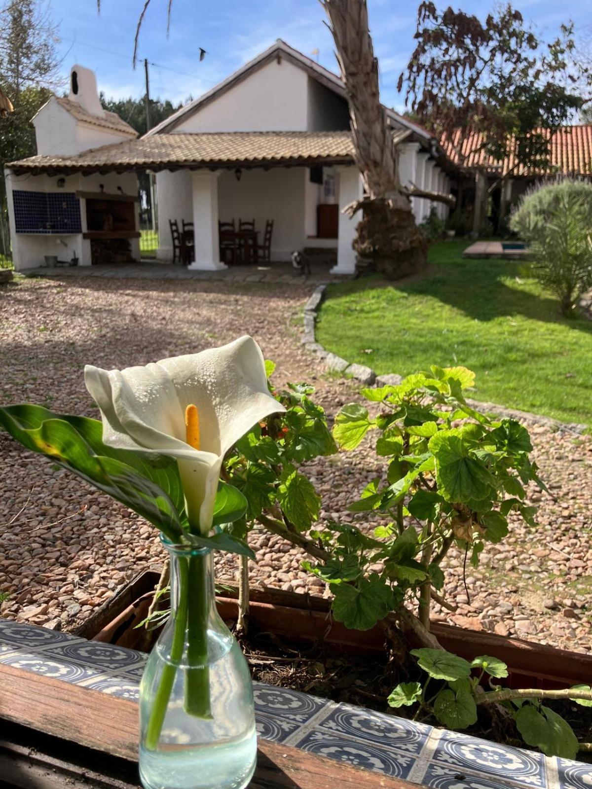 Pinos De La Quebrada Villa Quebrada de los Cuervos Luaran gambar